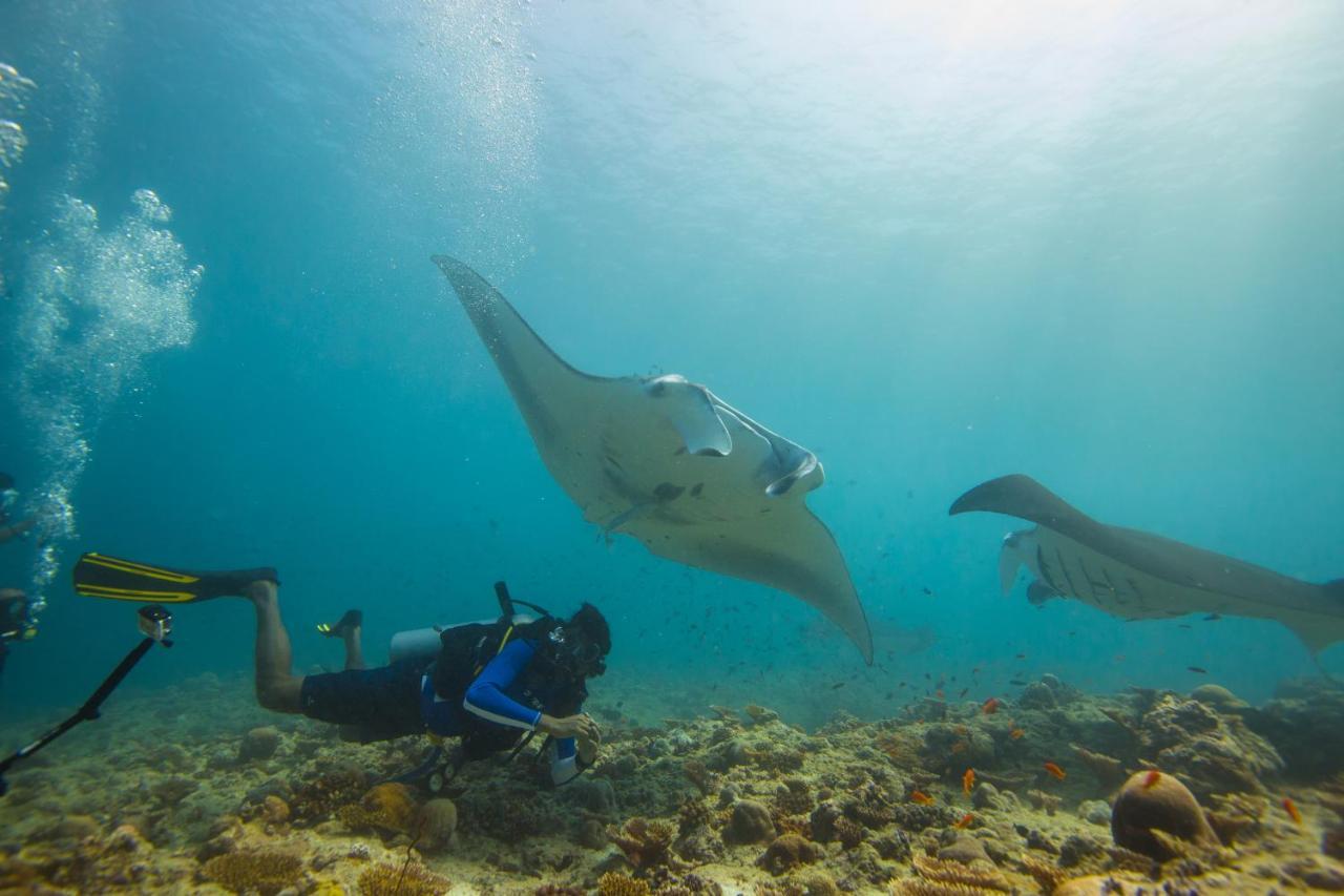 Scuba Inn Omadhoo Kültér fotó