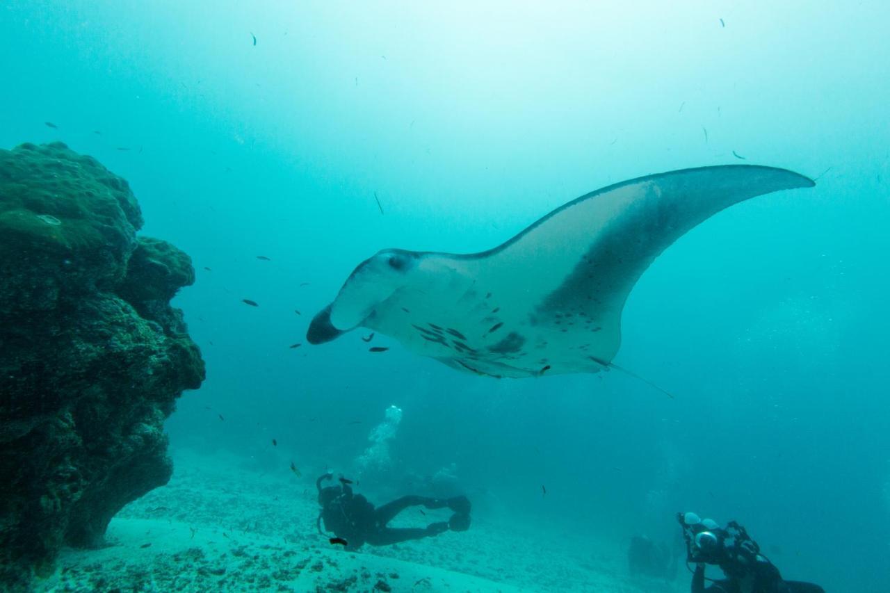 Scuba Inn Omadhoo Kültér fotó